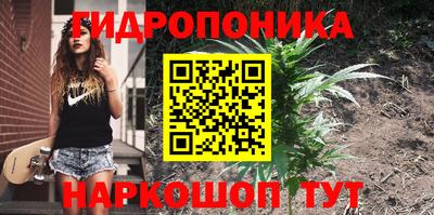 индика Баксан
