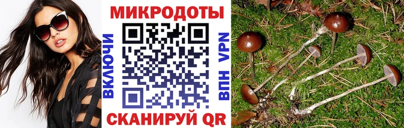 Галлюциногенные грибы мухоморы  цены наркотик  Лиски 