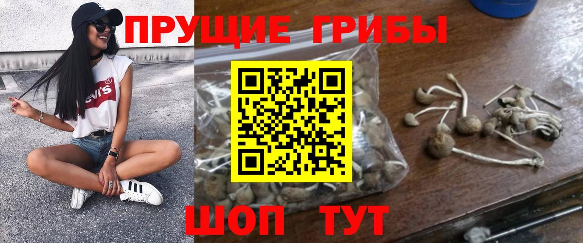 что такое наркотик  Галлюциногенные грибы Cubensis  Вход с VPN  Галлюциногенные грибы Cubensis  Лиски 