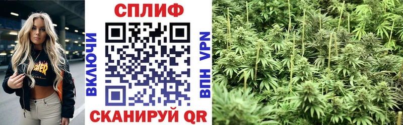 Конопля план  где продают   Лиски 